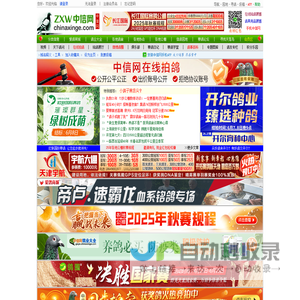 中信网-信鸽信息网